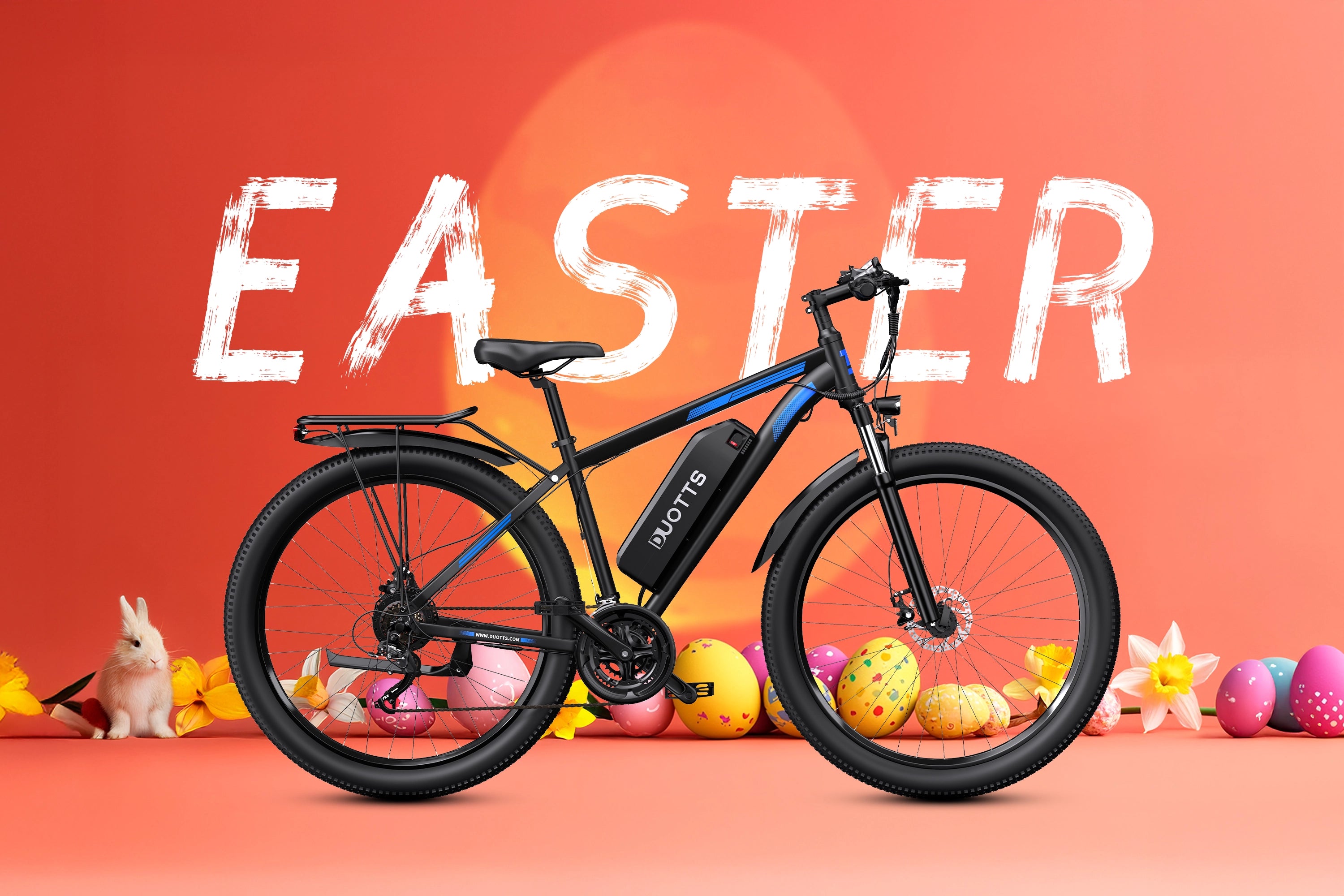 DUOTTS C29 Electric Bike