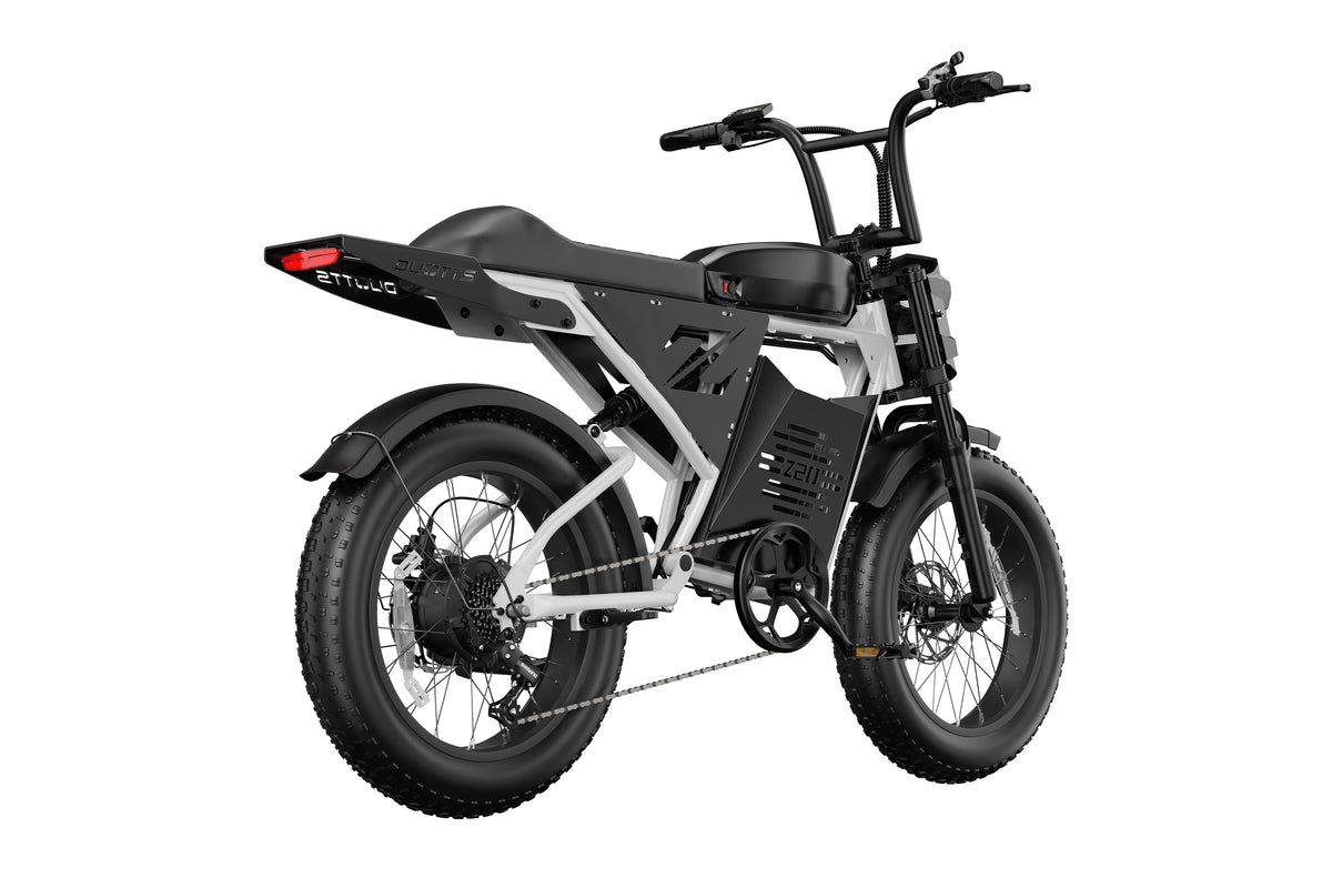 DUOTTS Z20 Electric Bike