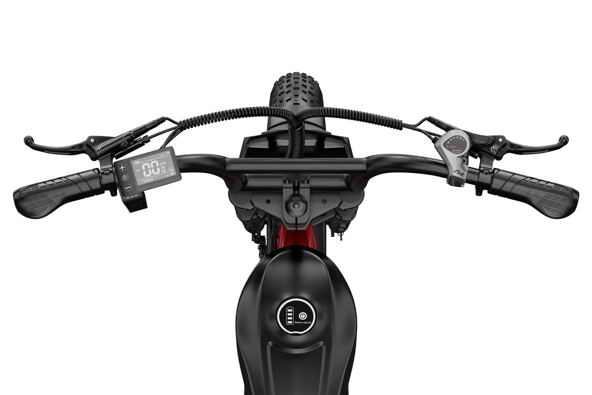 DUOTTS Z20 Electric Bike