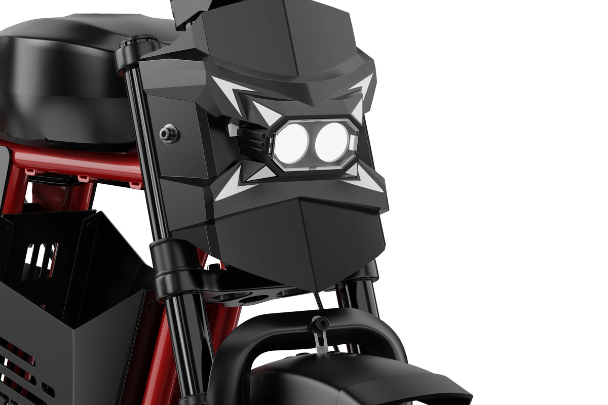 DUOTTS Z20 Electric Bike
