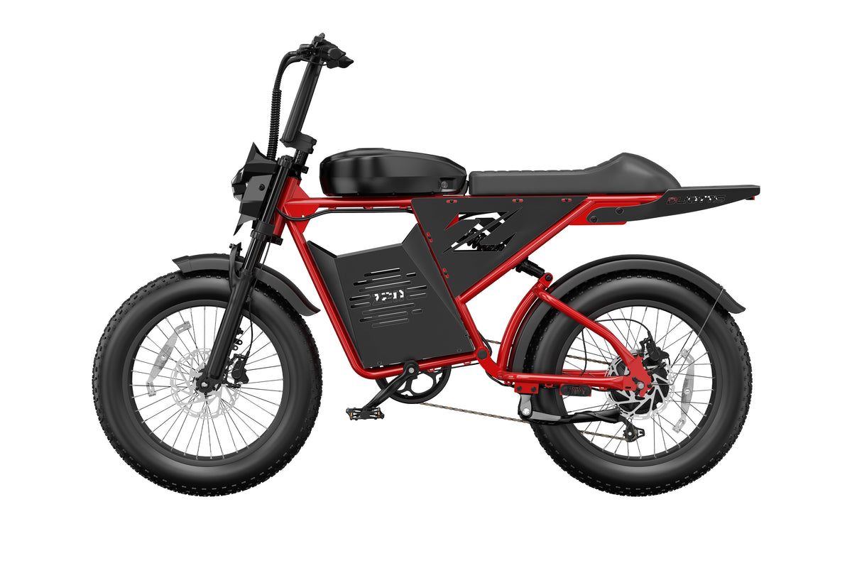 DUOTTS Z20 Electric Bike
