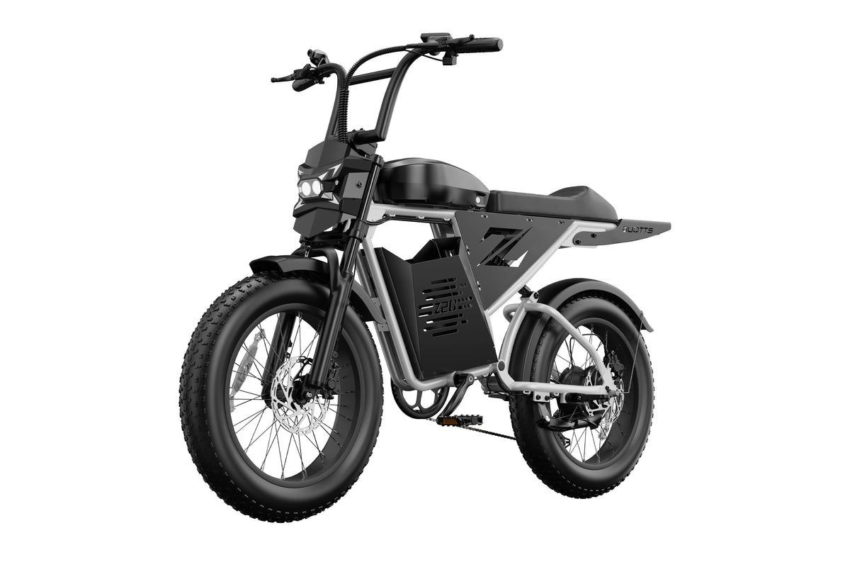 DUOTTS Z20 Electric Bike