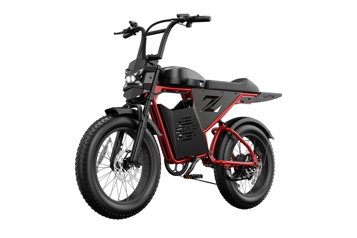 DUOTTS Z20 Electric Bike