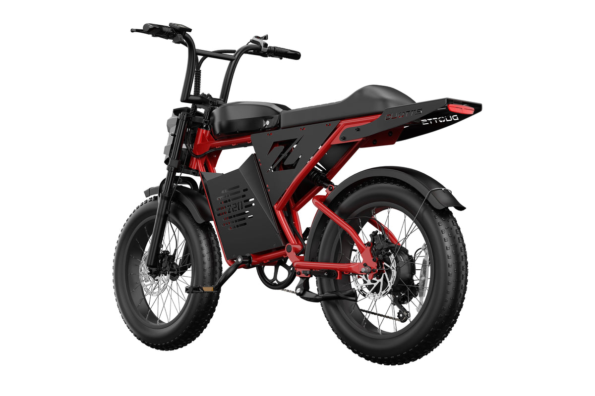 DUOTTS Z20 Electric Bike