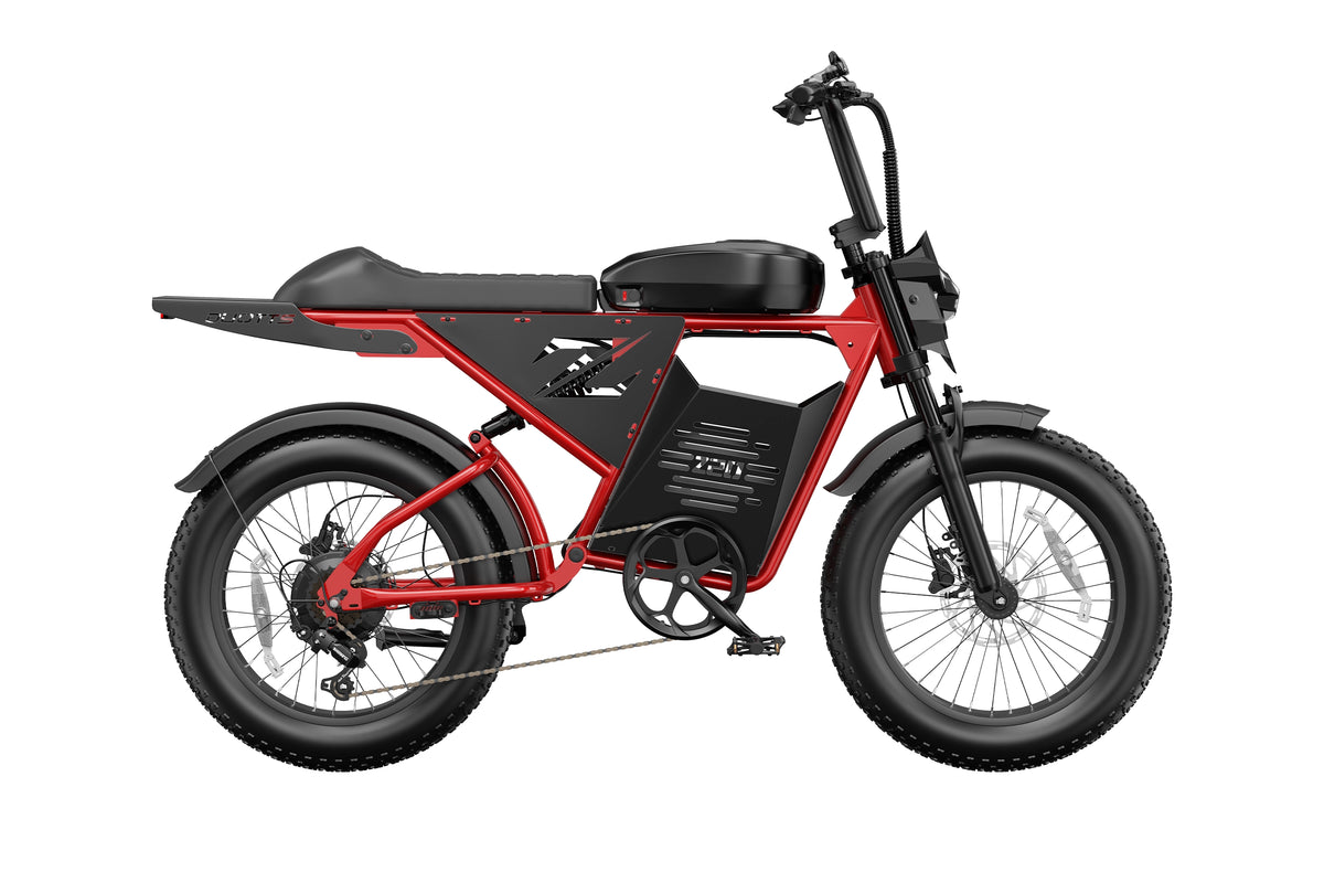 DUOTTS Z20 Electric Bike